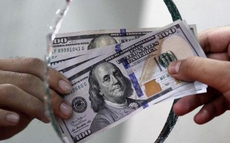 چرا بانک مرکزی سهمیه ارز مسافرتی را ۲ برابر کرد؟