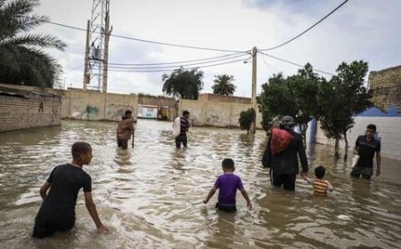 سیل در سیستان و بلوچستان: ۴۸ ساعت انتظار برای امدارسانی روی درخت