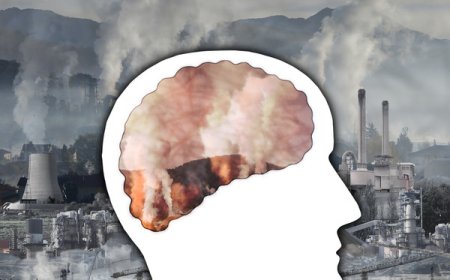 آلودگی هوا چگونه می‌تواند موجب آلزایمر شود؟