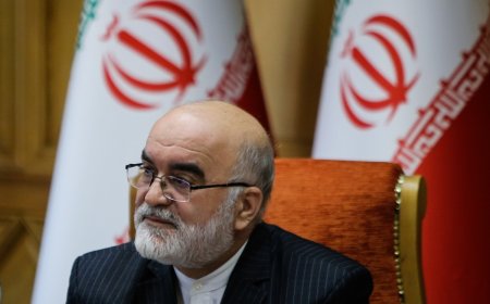 معاون قوه قضاییه: اموال بابک زنجانی شناسایی و با احتساب تورم وارد کشور شد