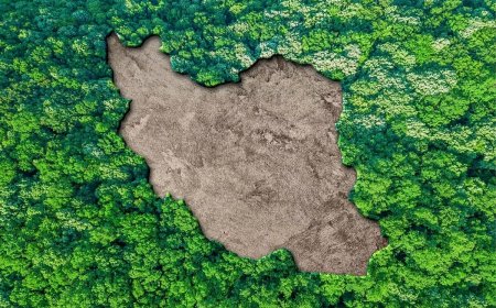خشک و ‌تر سال ۱۴۰۲ برای ایران/  از گرمای بی‌سابقه تا آسمانی که آبی نشد
