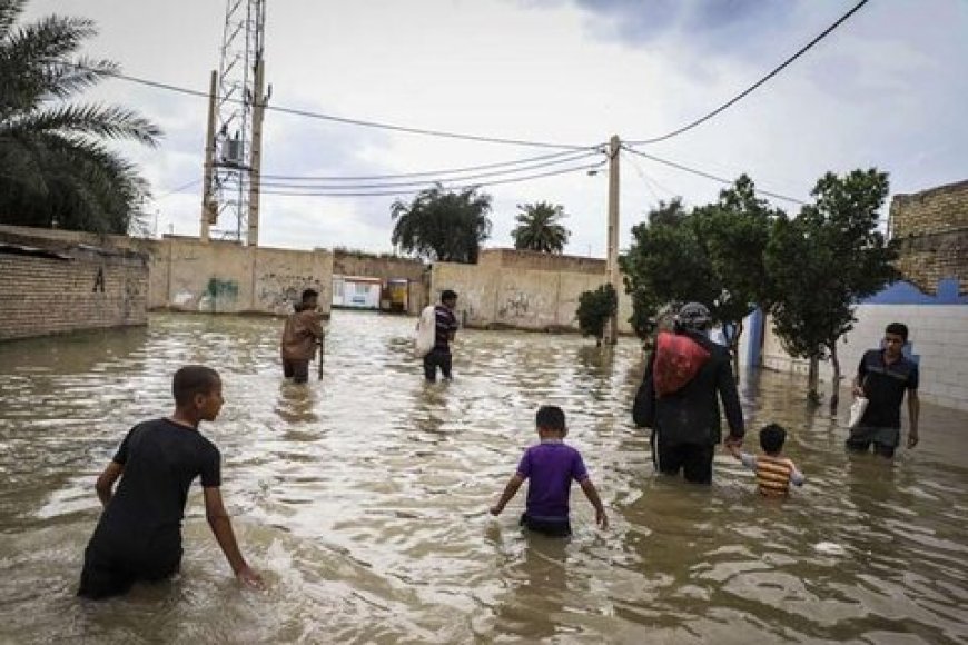 سیل در سیستان و بلوچستان: ۴۸ ساعت انتظار برای امدارسانی روی درخت