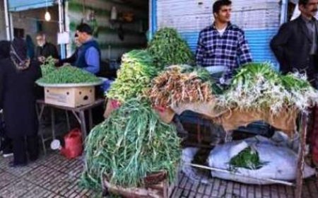 توصیه های دوستدار دغدغه مند کوه "دلو" شیراز برای حفظ زاگرس