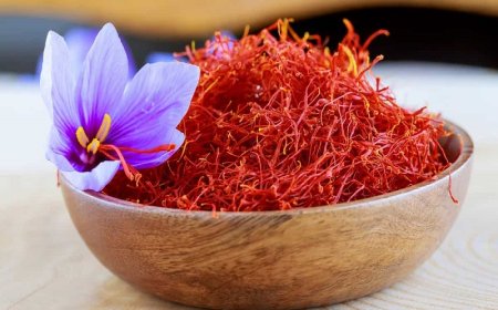 سرنوشت تلخ زعفران ایرانی