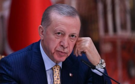 دردسر بزرگ اردوغان