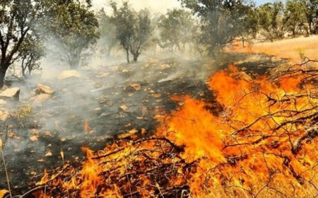 آتش بی توجهی به دامان طبیعت