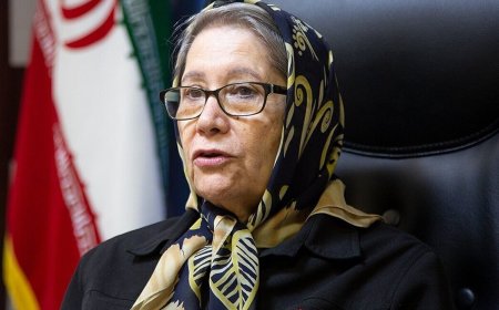 مینو محرز: باید بیماران را در راهروهای بیمارستان‌‌ بستری کنیم