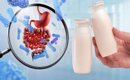 میکروب معده را با چه مواد غذایی از بین ببریم؟