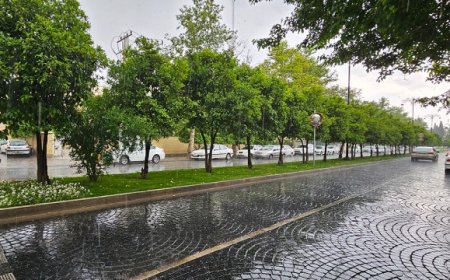 باران در فارس به ۲۵۳ میلیمتر رسید