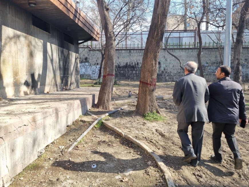 کنشگر محیط زیست: قرار است در پارک‌های تهران هتل بِروید یا چرخه رانت‌خواری بچرخد؟