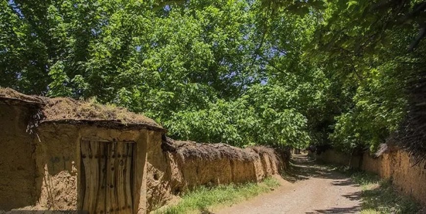 پای مشاور به بهره‌وری آب در باغات شیراز باز شد
