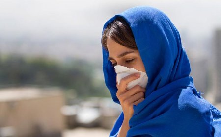 تلاش برای اجماع جهانی در مقابله با گرد و غبار
