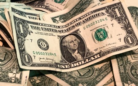 قیمت دلار با ریاست جمهوری کدام کاندیدا سقوط می‌کند؟