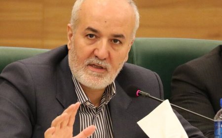 شهردار شیراز : ساز دیپلماسی از دل شهرها کوک می شود