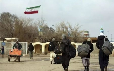 همه چیز درباره سرمایه گذاری اتباع بیگانه در ایران