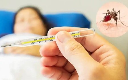 تب دنگی در کشور فراگیر می‌شود/ نیاز به کیت‌های تشخیص سریع داریم/ نگران زائرانی هستیم که برای اربعین از عراق بازمی‌گردند