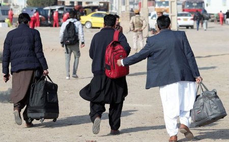 هشدار فراجا؛ اتباع تا پایان سال کشور را ترک کنید