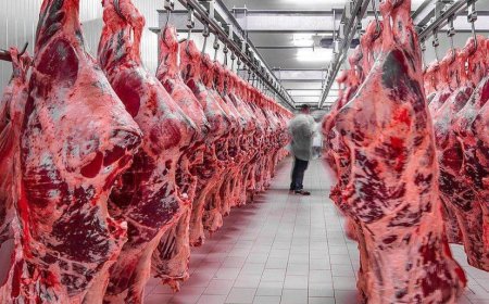 واردات گوشت یارانه‌ای تا پایان سال ادامه دارد