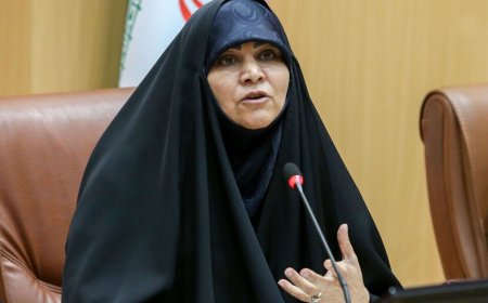 افشاگری سکینه سادات پاد: یک ریال از دولت سیزدهم حقوق نگرفتم