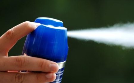 بازار گرمی پشه آئدس ؛ اسپری دفع حشرات کمیاب شد