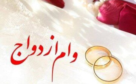 روزنامه همشهری علیه وزیر اقتصاد دولت چهاردهم: چرا می خواهید وام ازدواج را به صورت کالا بدهید که به نفع تولید تمام شود؟