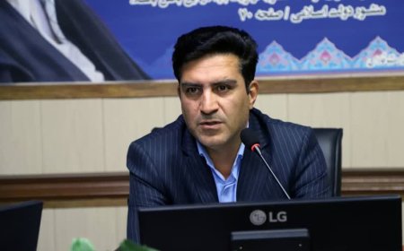 رصد مصادیق آلودگی و پیگیری محیط زیست فارس برای رفع آلودگی صنایع