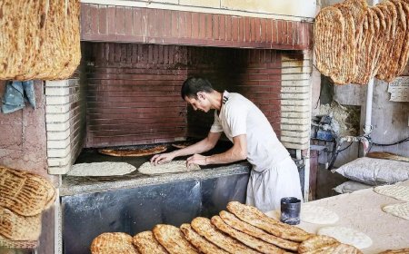 مهدی پازوکی: نان در دولت قبل گران شده بود، دولت جدید آن را اعلام کرد