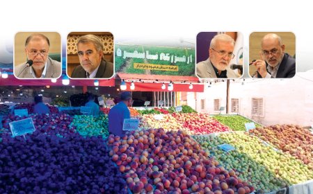 از آمادگی برای اجرای جامع و استقبال از طرح «از مزرعه تا سفره» تا کوتاهی دست دلال‌ها در قیمت‌گذاری بی‌ضابطه