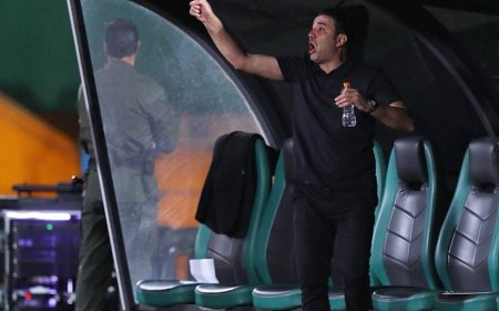 نکونام فعلا ماندنی شد