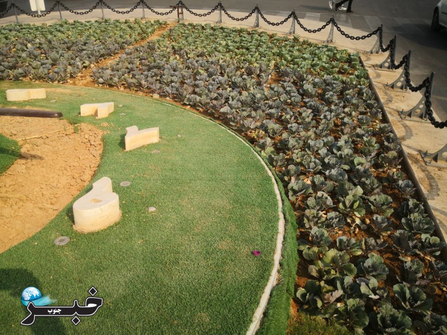 ساعت گل شیراز با چمن مصنوعی