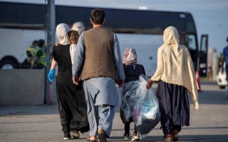 حضور ۵ میلیون تبعه خارجی در کشور