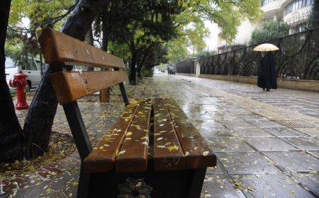 ترنم باران در سومین روز آبان ماه  ۱۴۰۳ زیبایی شیراز را دوچندان کرد