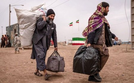 تعداد افغان‌های اخراجی از ایران
