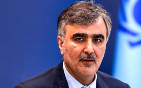 محمدرضا فرزین رئیس کل بانک مرکزی باقی ماند