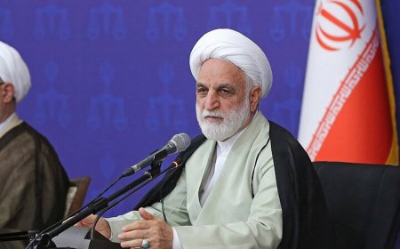 محسنی اژه‌ای: احکام جایگزین حبس نباید موهن و تمسخرآمیز نباشد