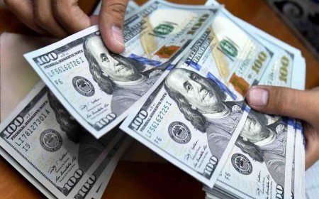 رشد فزاینده قیمت دلار نیما متوقف شد؟