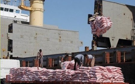 آغاز توزیع ۲۴۰۰ ‌تُن برنج خارجی ‌در بازار