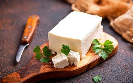 مصرف زیاد پنیر شما را خنگ می‌کند؟