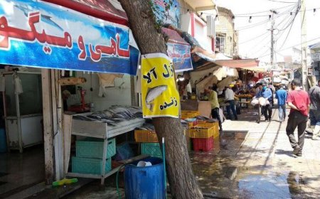 ساماندهی وضعیت دروازه کازرون؛ شاید وقتی دیگر