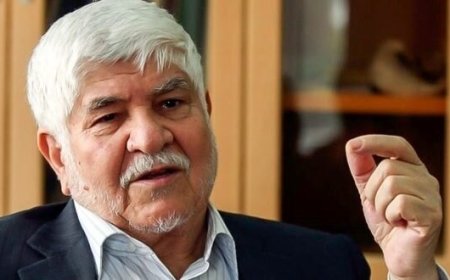 محمد هاشمی: وظیفه اجرای قانون حجاب و عفاف از پزشکیان ساقط شده است