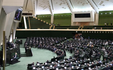 ببینید| اهالی بهارستان چه کتاب هایی می خوانند؟