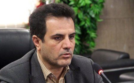 سرپرست فرمانداری شیراز در دولت چهاردهم منصوب شد