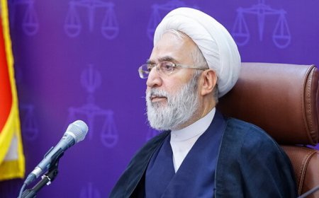 دادستان کل کشور: ضارب امام جمعه کازرون جانباز نبود، سابقه بمب‌گذاری هم داشت