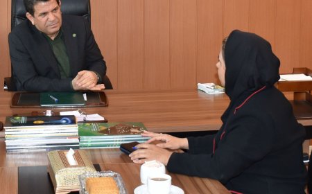یاوران عدالت دادگستری