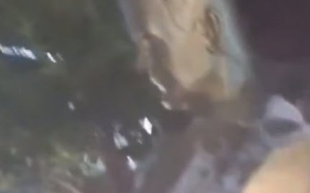 مجسمه حافظ اسد رهبر قبلی سوریه در کاخ استانداری حلب سرنگون شد
