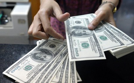 دستگیری ۳ دلال ارزی در خیابان منوچهری تهران