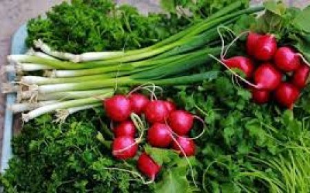 سبزی ۵۸ درصد گران‌تر شد