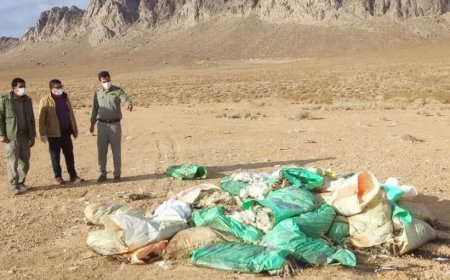 مرغداری متخلف لاشه دوهزار قطعه مرغ تلف شده را در مناطق زیست محیطی بوانات رها کرد