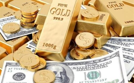قیمت سکه «حساس» شد؛ دلار در کانال جدید تثبیت شد