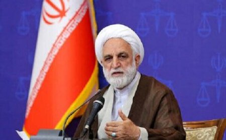انتقاد روزنامه هم‌میهن از سخنان محسنی اژه‌ای در باره قانون عفاف وحجاب